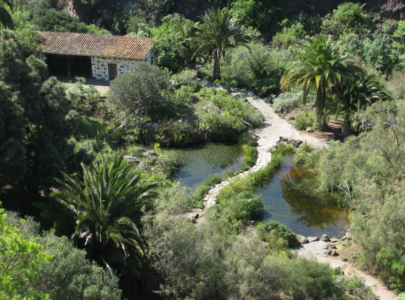 Jardín Botánico Viera y Clavijo, Spain